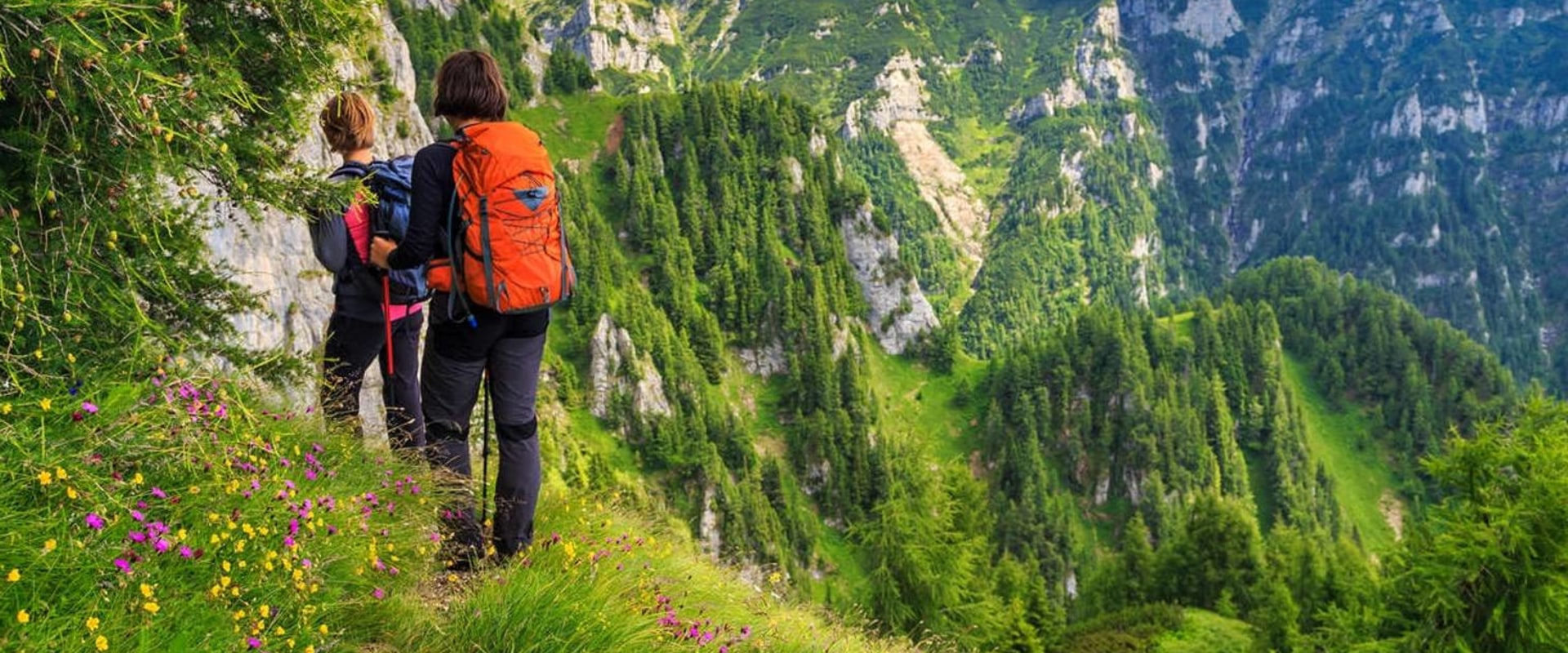 Discover the Beauty of Transylvania Through Self-Guided Walking Tours